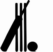 Image result for Cricket CSK