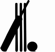 Image result for Cricket Items