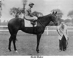 Image result for Race Horse Bold Ruler