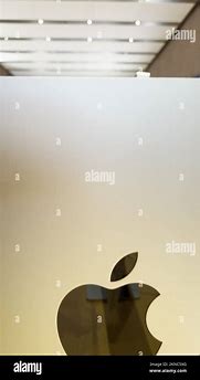 Image result for Apple Computer Cheese
