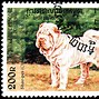Image result for Chinese Year of the Dog Images Shar Pei
