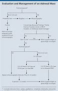 Image result for Management of Adnexal Cyst