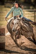 Image result for Horse Racer