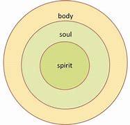 Image result for Difference Between Body Soul and Spirit