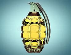 Image result for FMA M67 Hand Grenade