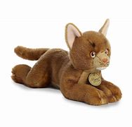 Image result for Chocolate Brown Cat Plush