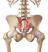 Image result for Sacroiliac SI Joint