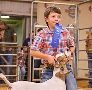 Image result for Delectus Bull's Eye Red Houston Livestock Show Rodeo