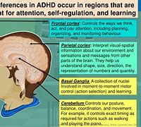 Image result for Charts On How Memory Works Anf Brain Labeled