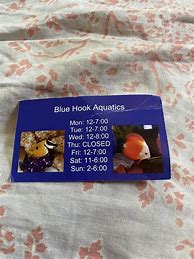 Image result for Blue Hook Fish