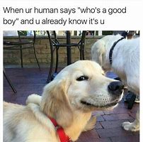 Image result for Cute Dog Jokes