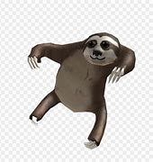 Image result for Sloth iPhone Wallpaper