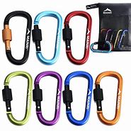 Image result for carabiners keychains clips