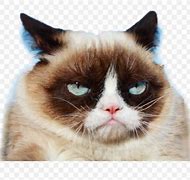 Image result for Grumpy Cat Emoji