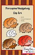 Image result for Difference Between a Hedgehog and a Porcupine