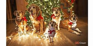 Image result for Funny Christmas Background for Teams