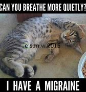Image result for Cat Meme Migrane