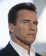 Image result for Arnold Schwarzenegger Hair
