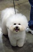 Image result for Realistic Toy Dogs for Kids