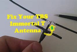 Image result for Immortal T Antenna
