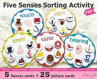 Image result for Senses Activities for Preschoolers