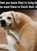 Image result for Funny Memes for Daily