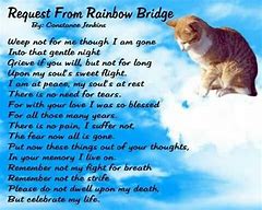 Image result for Rainbow Bridge Cat Prayer