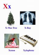 Image result for Words with X for Kids