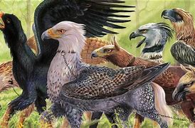 Image result for Hippogryphs in a Stable