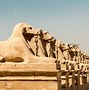 Image result for Egyptian Ethnicity