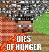 Image result for Minecraft Earth Meme