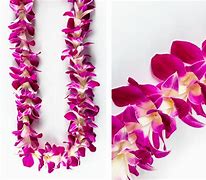 Image result for Traditional Hawaiian Lei