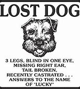 Image result for Good Luck Puppy Meme