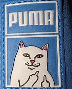Image result for Puma Suede XL