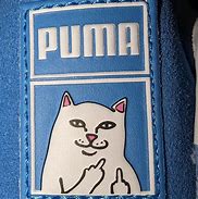 Image result for Puma Suede Classic XXI