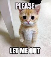 Image result for Let Me Out Funny