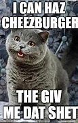 Image result for Has Cheezburger Cat