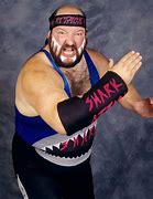Image result for WCW Shark
