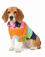 Image result for Pet Spirit Dog Clothes
