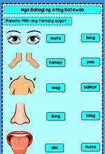 Image result for Body Parts in Arabic Language