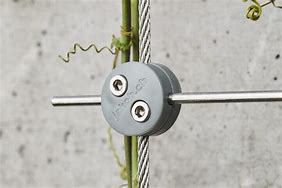 Image result for Stainless Steel Wire for Post with Vine