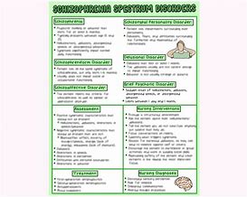 Image result for Schizophrenia Memory Notebook of Nursing