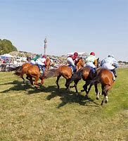 Image result for Gallop Race
