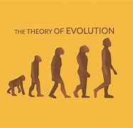 Image result for The Evolution Theory