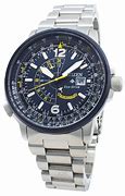 Image result for Citizen Eco-Drive Promaster Nighthawk