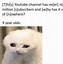 Image result for Crying Cat Finance Meme