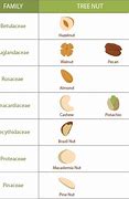 Image result for Tree Nut Allergy Chart