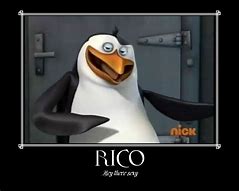 Image result for Rico Penguin Meme