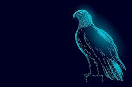 Image result for Eagle Drawing Front Profile