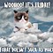 Image result for Happy Friday Grumpy Cat Meme